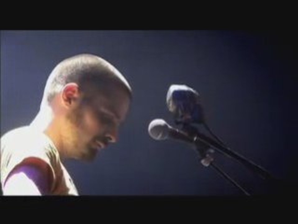 A hit, RUBIN STEINER