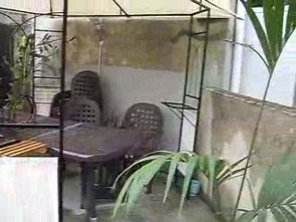 Nouveau jardin 2008 de jour