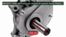 MY1016Z 250W 24V Permanent Magnet Brushed DC Motor 75rpm/120rpm 44... -- Best Deal 2026 | Shop Now!