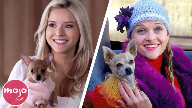 Elle: 10 Questions the TV Show Answers About Legally Blonde