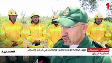 نشرة المسائية  10/07/26