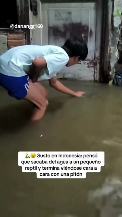 The young man, trying to catch the snake that came to his door during a forest raid, sees that the snake, with only its head visible, is a massive boa constrictor!