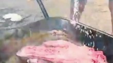 Churrasco no carrinho de mão você nunca viu