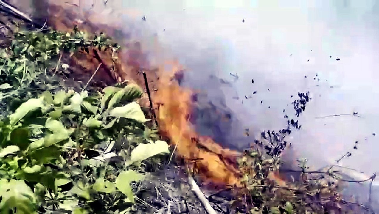 ext-incendio-forestal-santa-cruz-160426 [Full Movie]