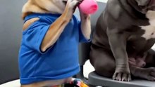 #FUNNY_VIRAL_VIDEO