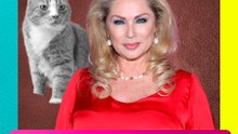 Reviven comentarios de Leticia Calderón sobre gatitos tras polémica de Pedro Sola en Ventaneando