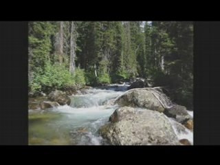 Sourate Ankabout (Cheikh Mohammed Al Mohaisany)