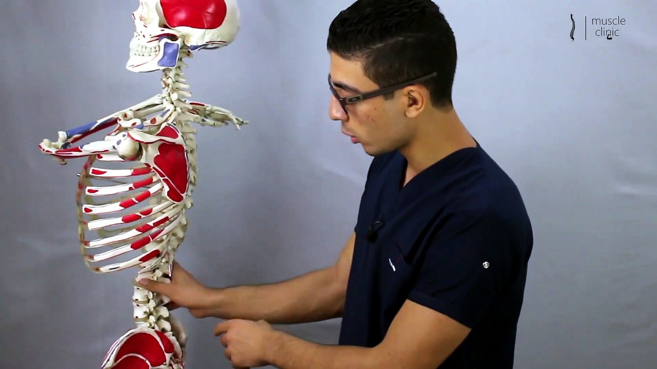 038 - 4 تمرينات لعلاج تقوس اسفل الظهر (انحناء اسفل الظهر)- anterior pelvic tilt treatment