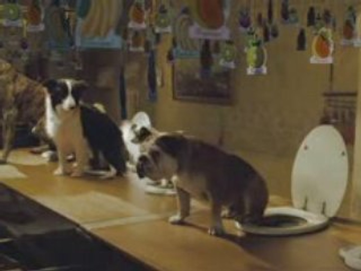 Kibbles and bits commercial dancing cheap dog