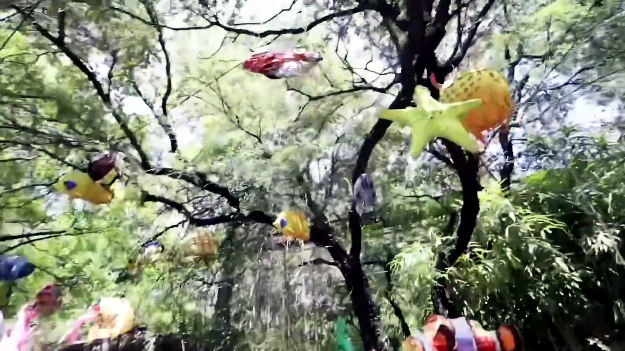Exploring ZOO FULL of CRAZY ANIMALS in Texas!!