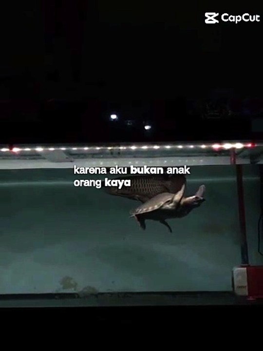 Berproses