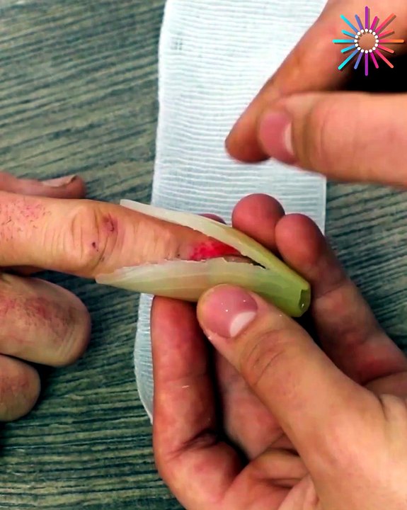 Check out these hacks we bet your didn't know before!