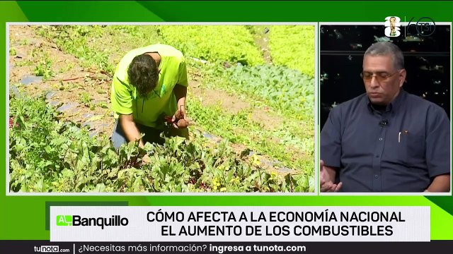 Al Banquillo - La situación del agro hondureño - viernes 10 de julio 2026