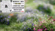 Thiên Hương Dẫn - Tập 27 [Vietsub]