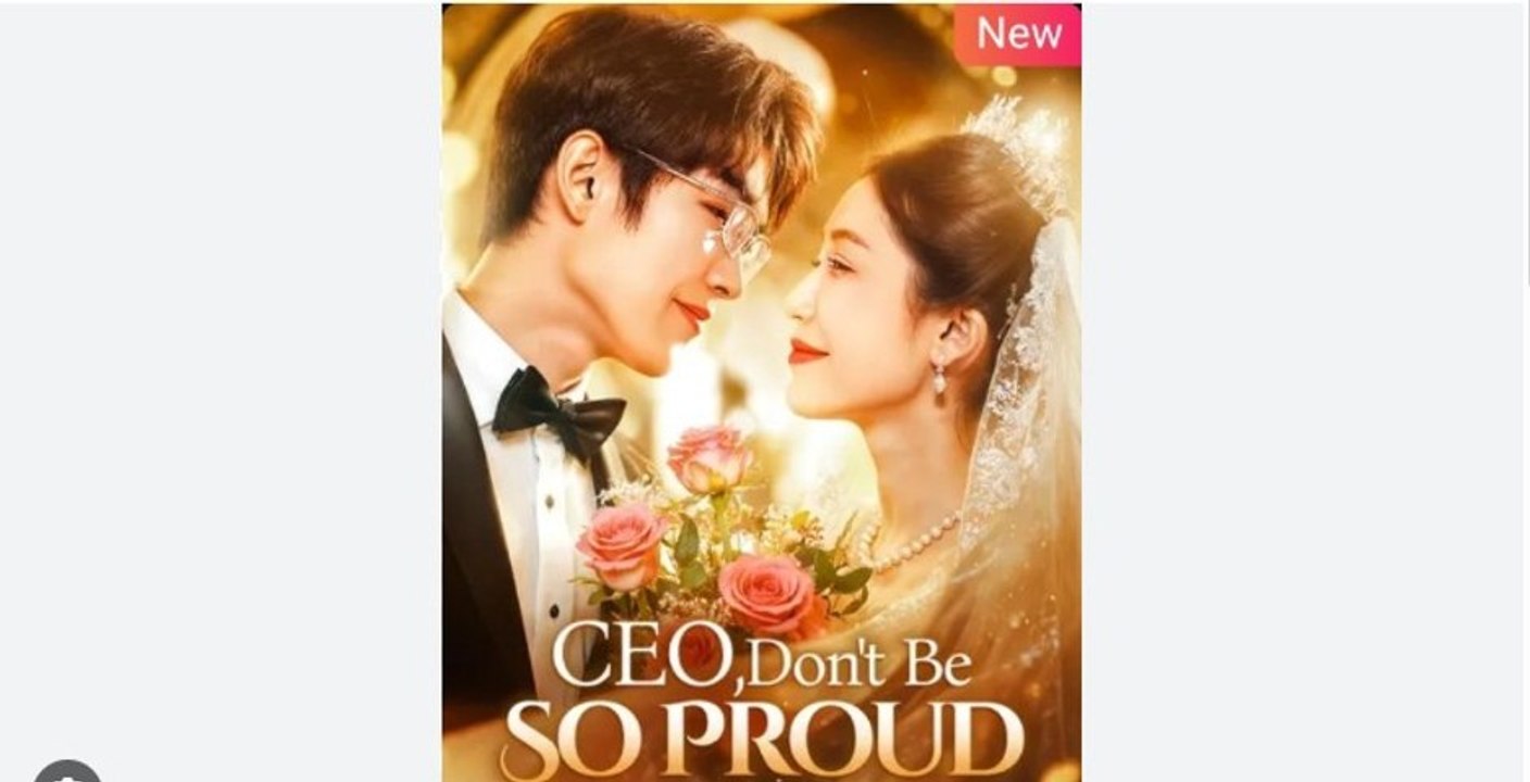 CEO Dont Be So Proud