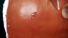 Tomato knife slice asmr Satisfying shorts 4K no talking