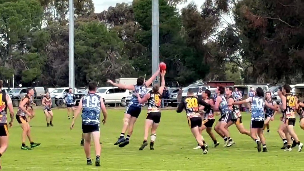 HDFNL: Leitchville-Gunbower v LBU. July 11, 2026.
