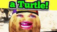Peanut targeted a turtle in-game and Chat immediately canceled him 💀🐢