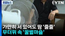 가만히 있어도 땀 '줄줄'...무더위 속 꿀벌마을 상황 / YTN