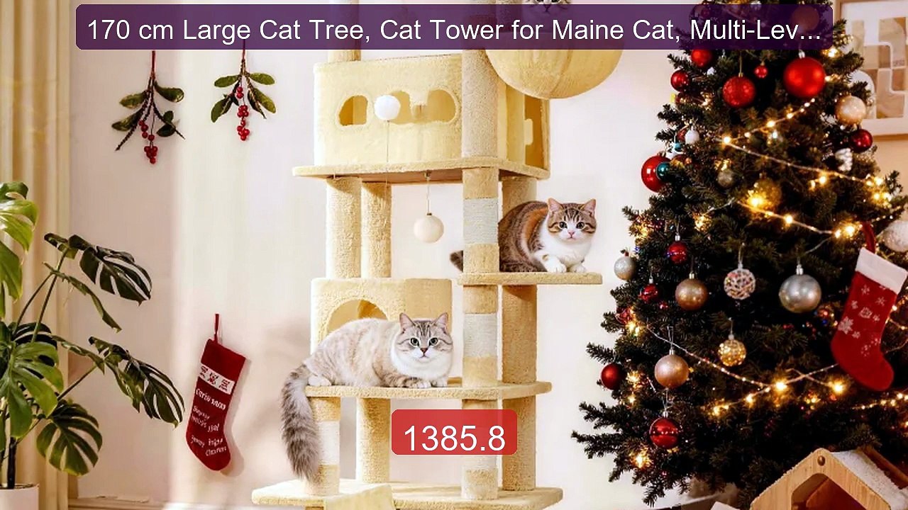 170 cm Large Cat Tree, Cat Tower for Maine Cat, Multi-Level S... -- Amazing Value 2026 | Must Have!