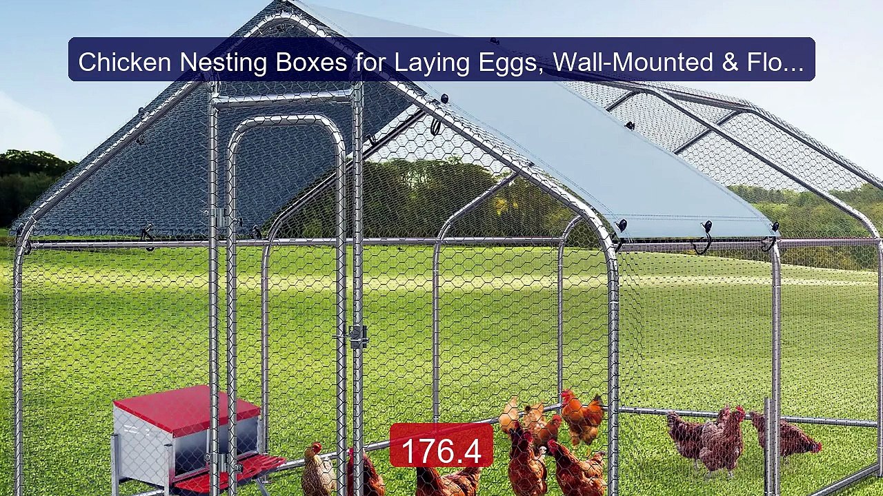 Chicken Nesting Boxes for Laying Eggs, Wall-Mounted & Floorsta... -- Hot Deal 2026 | Limited Offer!
