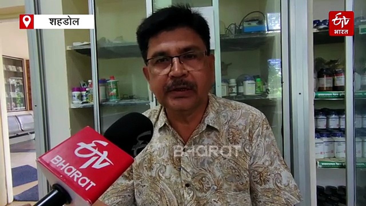 मानसून में धान की नर्सरी डालने में हुई देरी, न हों परेशान, पुराना तरीका देगा छप्पर फाड़ कमाई
