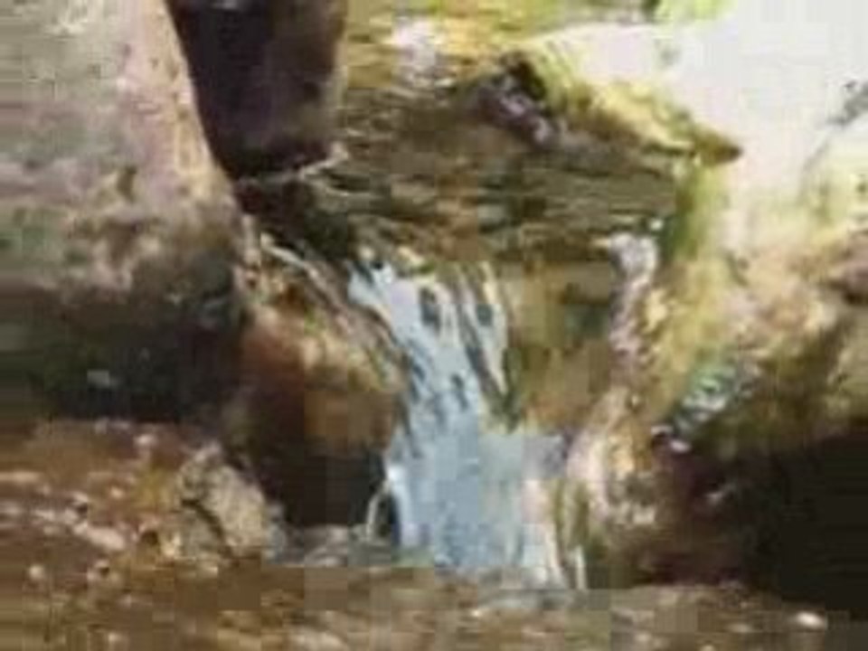Bassin 2008(1)