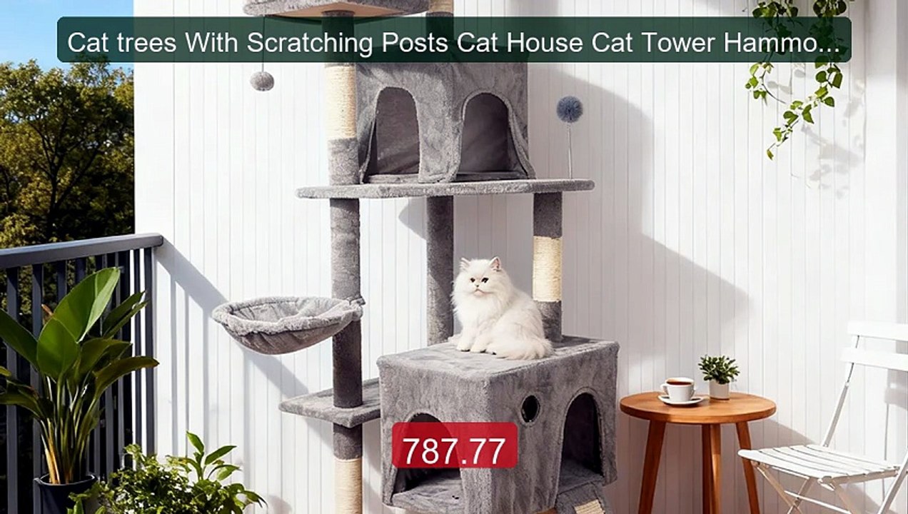 Cat trees With Scratching Posts Cat House Cat Tower Hammock Pa... -- Best Buy 2026 | Great Quality!