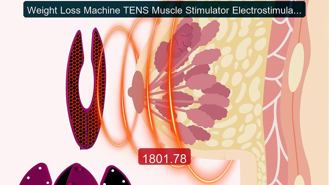 Weight Loss Machine TENS Muscle Stimulator Electrostimulation Machi... -- Top Rated 2026 | Buy Now!
