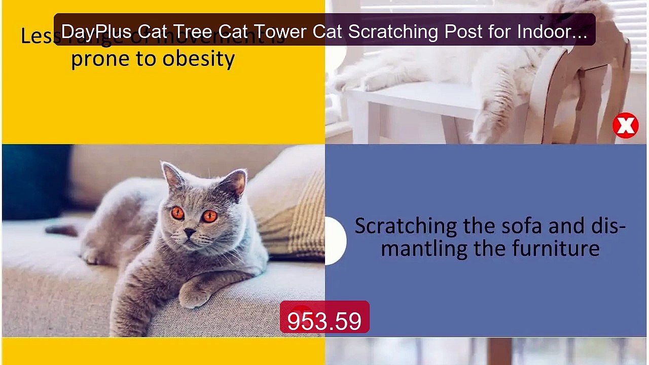 DayPlus Cat Tree Cat Tower Cat Scratching Post for Indoor/Outdoor ... -- Best Deal 2026 | Shop Now!