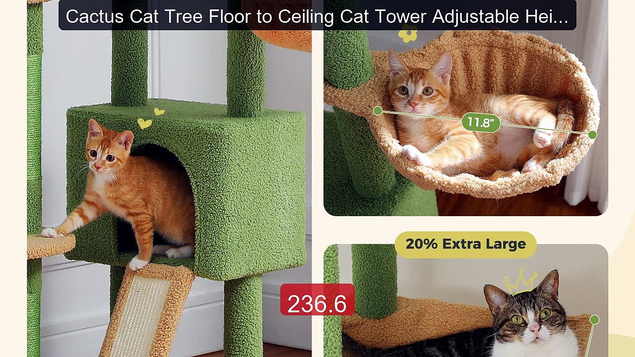 Cactus Cat Tree Floor to Ceiling Cat Tower Adjustable Height w... -- Best Buy 2026 | Great Quality!