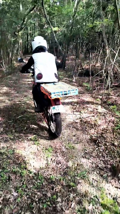 TLM50　林道