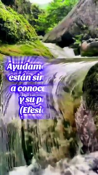 Reflexiones Bíblicas