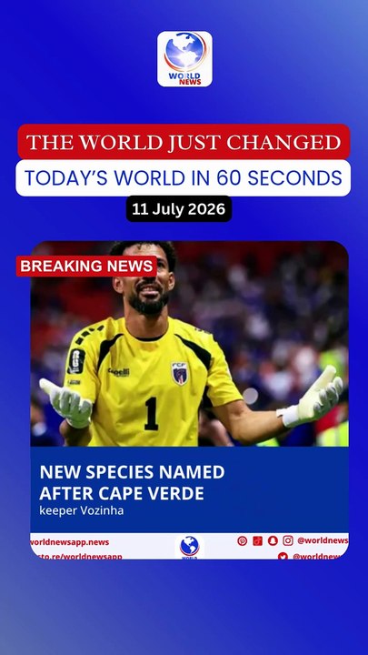 New species named after Cape Verde keeper Vozinha