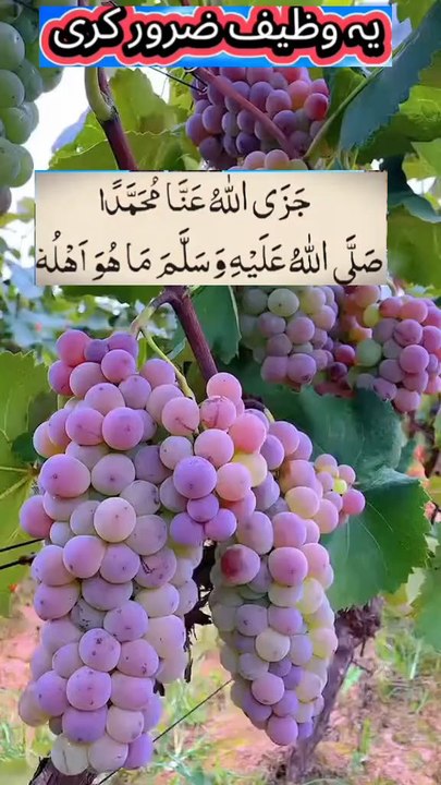 Darood o salam