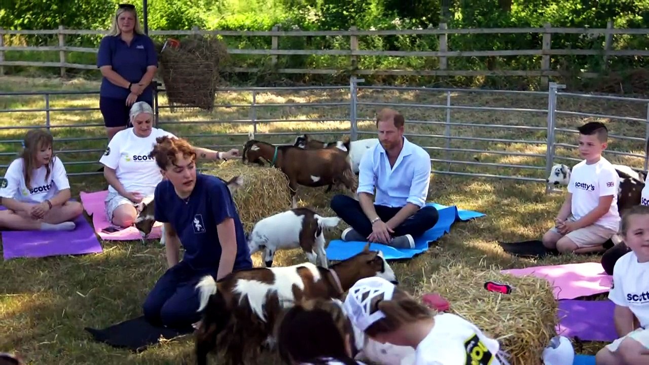 Prince Harry gets up close and personal with goats