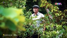 Nợ Ðời Vay Trả Tập 54 - Phim THVL1