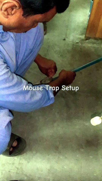 Mouse Trap Setup