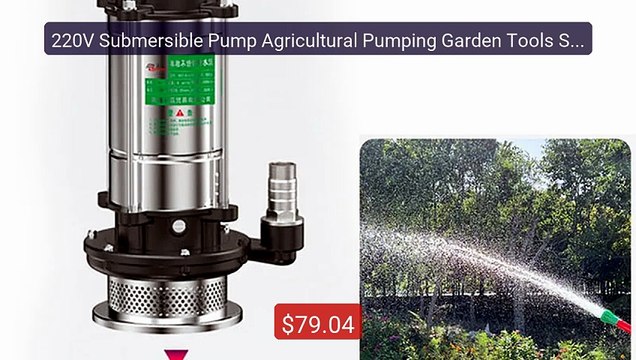 220V Submersible Pump Agricultural Pumping Garden Tools Sta... Top Pick 2026 | Unbeatable Price!