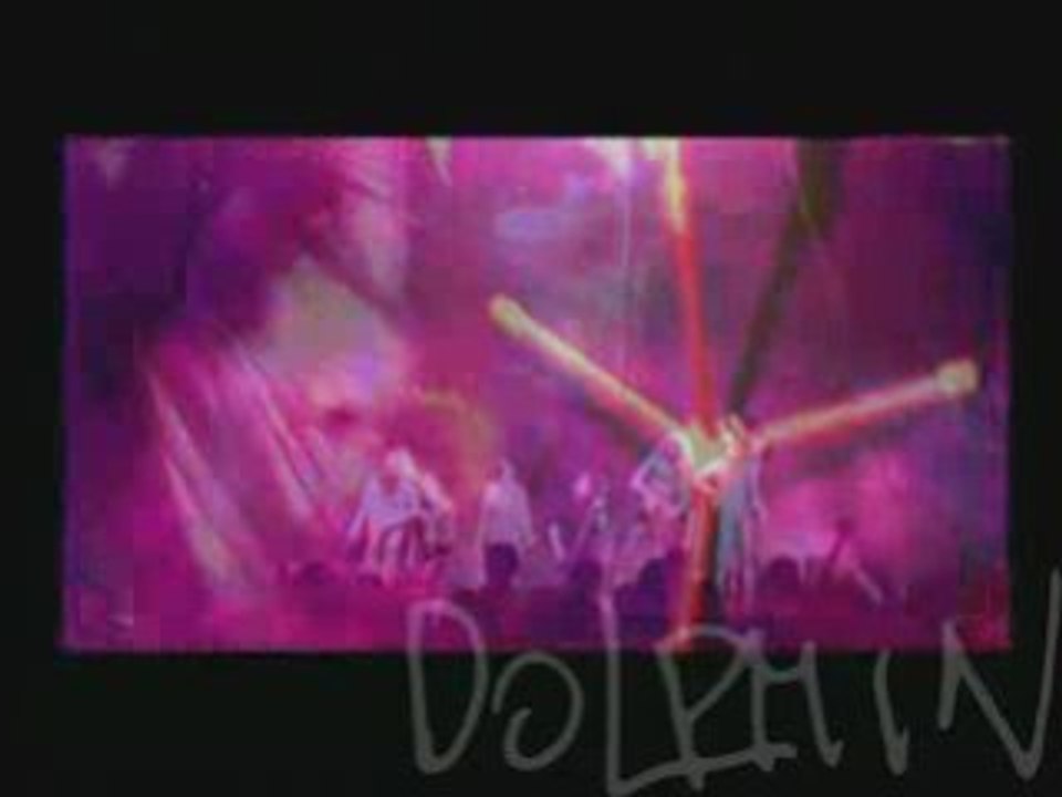 Dolphin - Beach