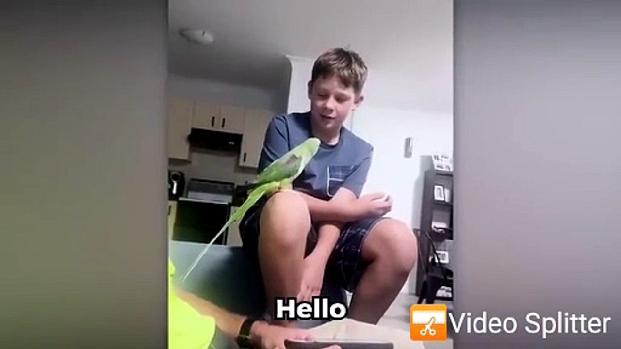 Funny daily videos. (Compilation de vidéos drôles du quotidien )