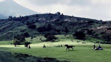 horse crossed lake for impressing his female friend