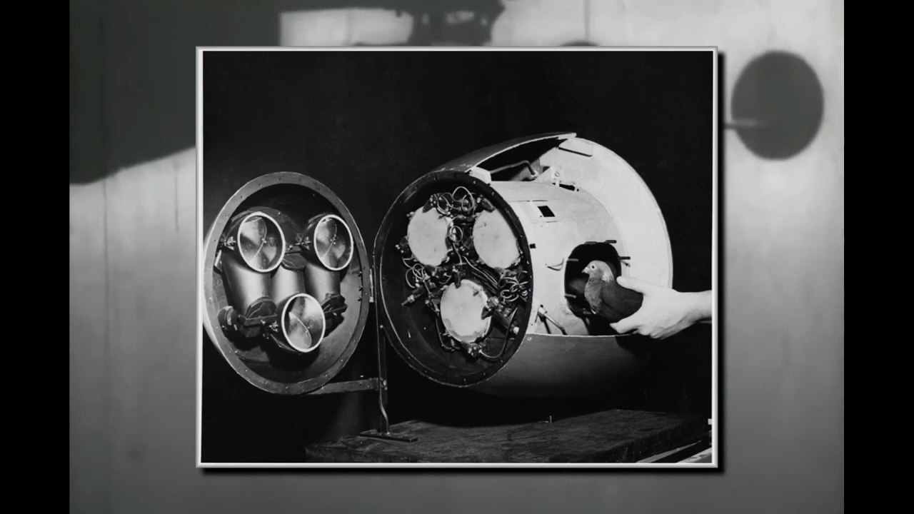 What Project ORCON (Organic Control) Was and Why It Still Sounds Insane  [ WWII DOCUMENTARY ]