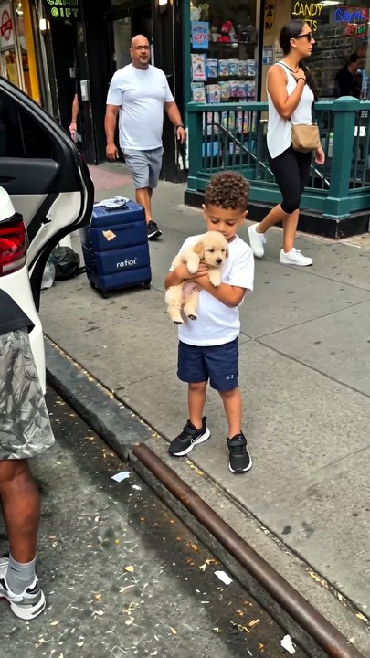 He Only Asked for One Thing… 🥹🐶❤️