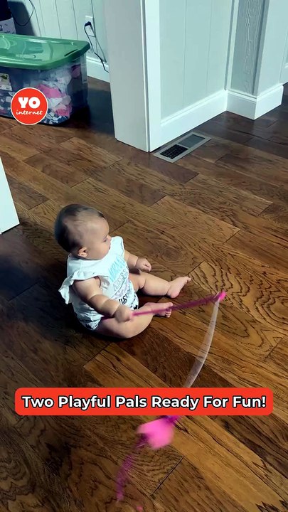 Energetic toddler and clever cat engage in a playful game