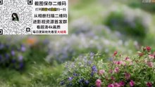 The Eternal Fragrance Eng Sub Asian Series EN SUB Episode 27 Full Episode 2026