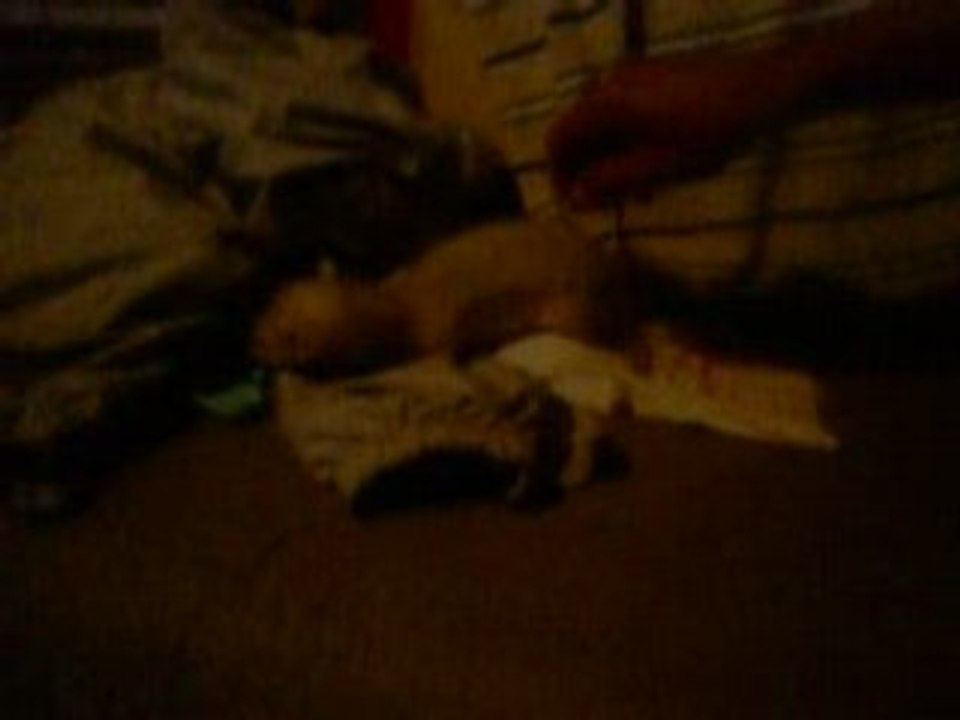 toujours beta apres l'operation