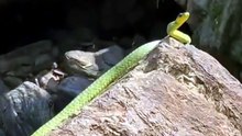 Perigo na Cachoeira