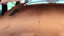 3 Veee Cam tavan söküldü çıkartılıyor Sunroof Elektrik Tesisat Fitil Sökülüyor Bülent Usta Telefon 🢃