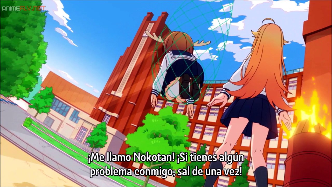 Shikanoko Nokonoko Koshitantan (ANIME OVERDRIVE-ANIME OVERLOAD)